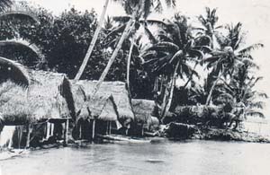 Photo of huts on Eastern Caroline Island.