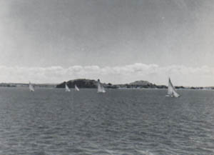 Photo of Auckland Harbor