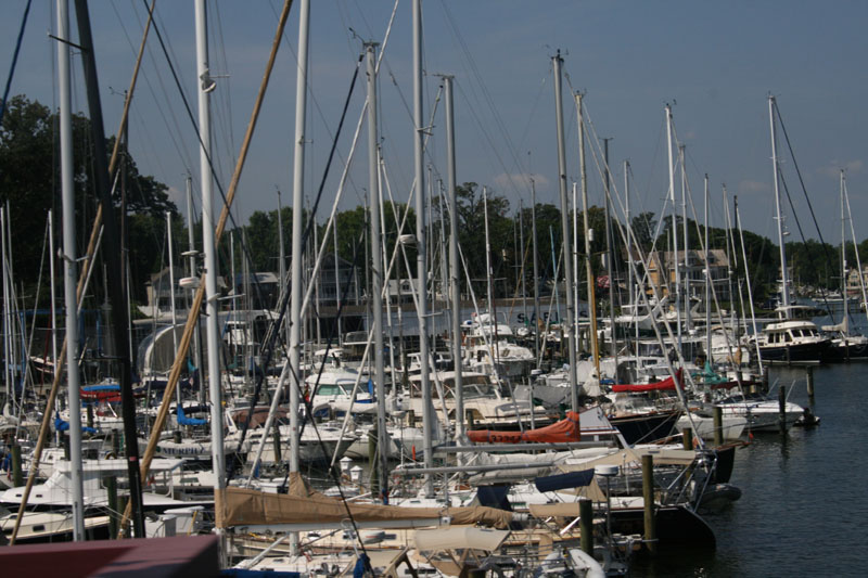 Annapolis Tour (7)