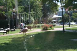 Annapolis Tour (3)