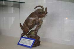 Navy Goat